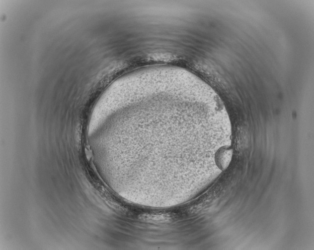 X0000088070639200706011514