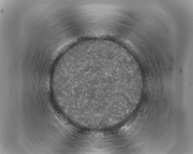 X0000088070640200706011514