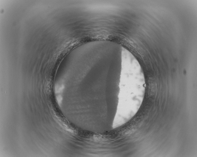 X0000088070641200706011514