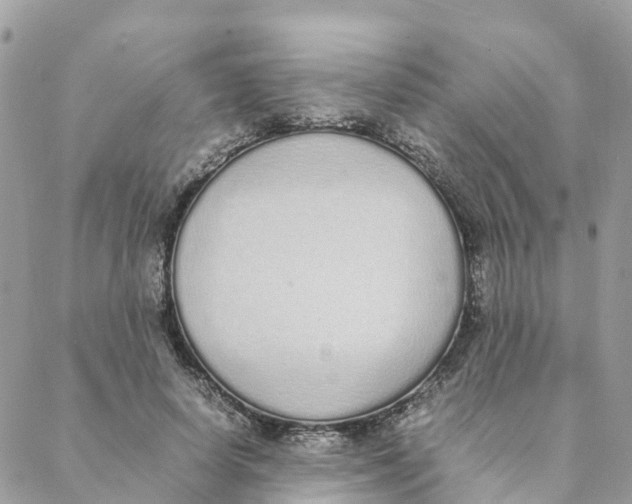 X0000088070642200706011514