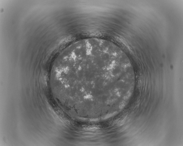 X0000088070643200706011514