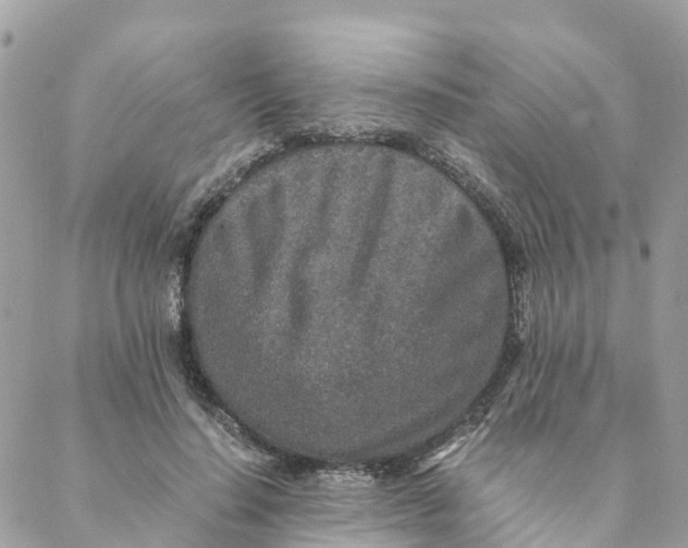 X0000088070644200706011514