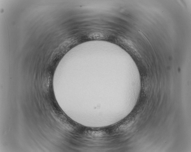 X0000088070645200706011514