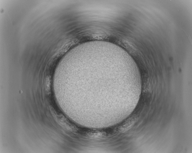 X0000088070646200706011515