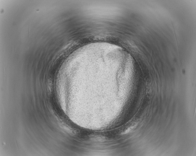 X0000088070648200706011515