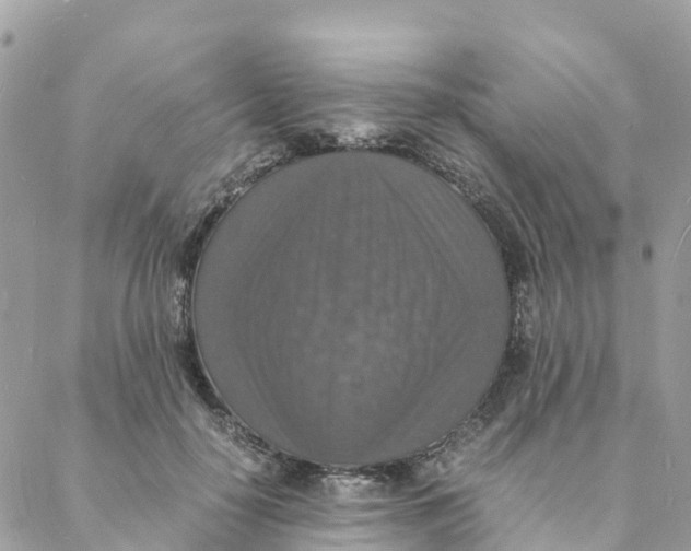 X0000088070650200706011515