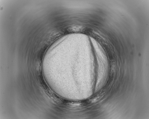 X0000088070651200706011515