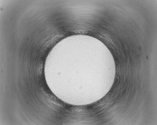 X0000088070652200706011515