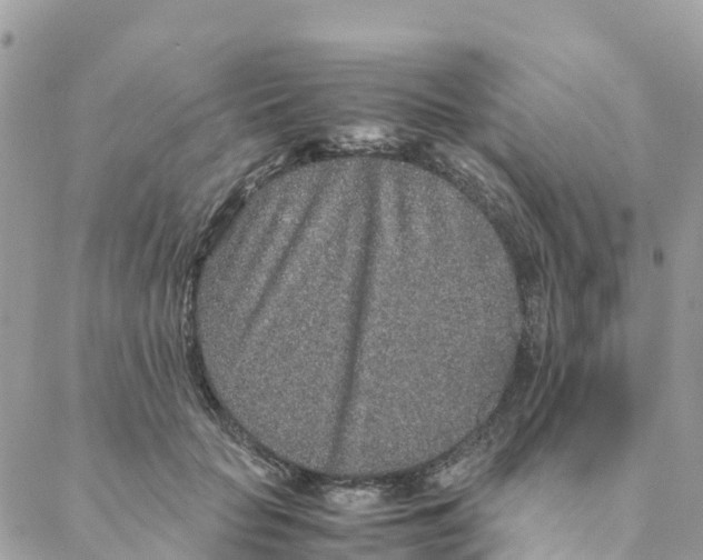 X0000088070653200706011515