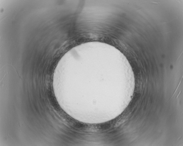 X0000088070656200706011515