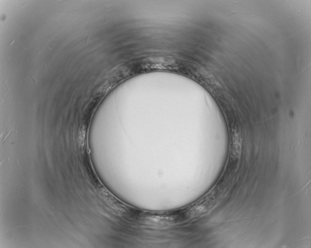 X0000088070657200706011515