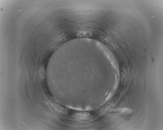 X0000088070659200706011515