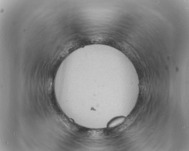 X0000088070660200706011515