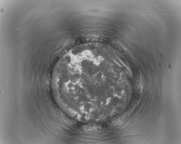 X0000088070661200706011515