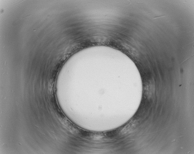 X0000088070662200706011515