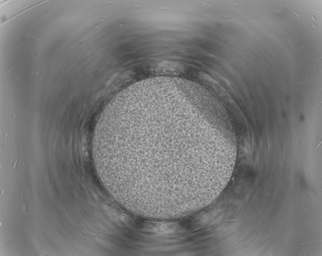 X0000088070663200706011515