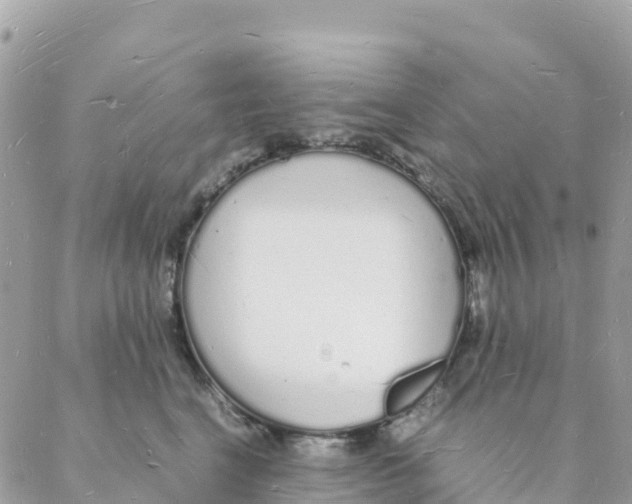 X0000088070664200706011515