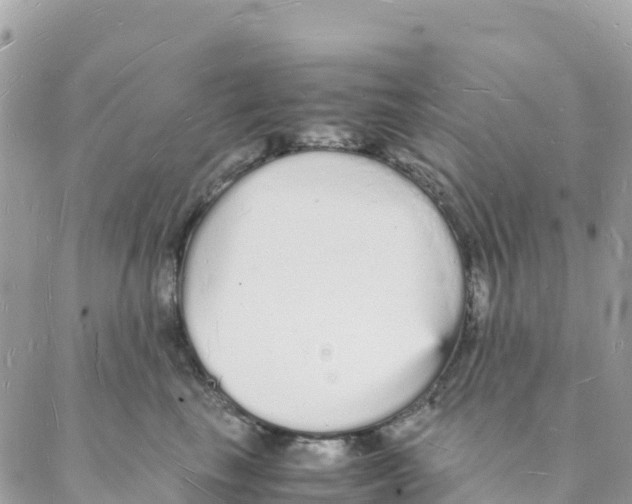 X0000088070665200706011515