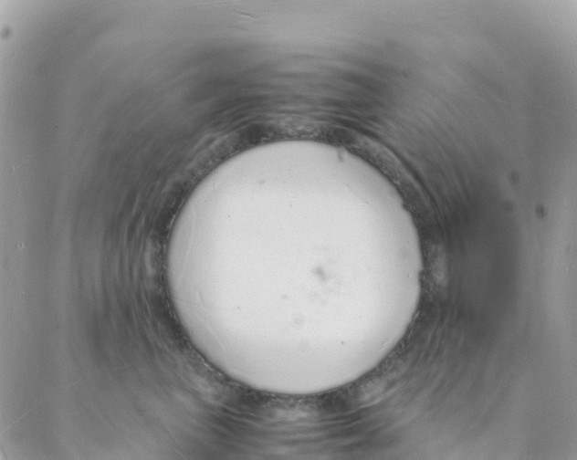 X0000088070667200706011515