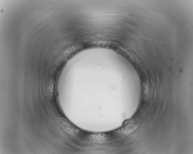 X0000088070668200706011515