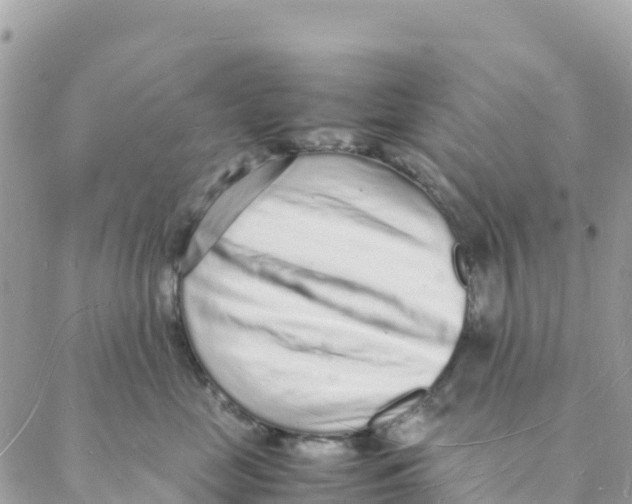 X0000088070669200706011515