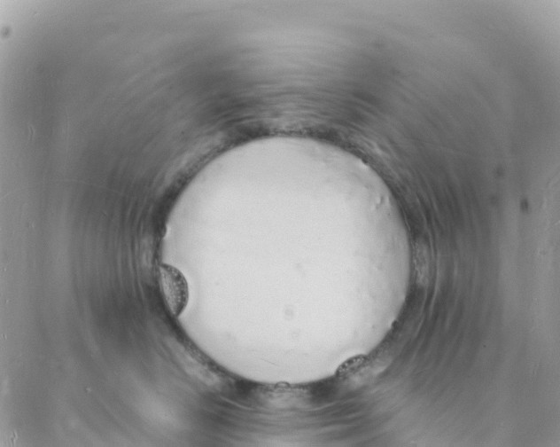 X0000088070670200706011515