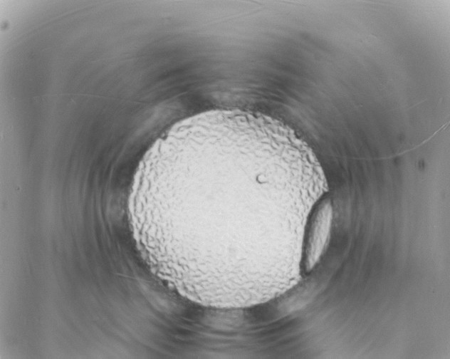 X0000088070671200706011515