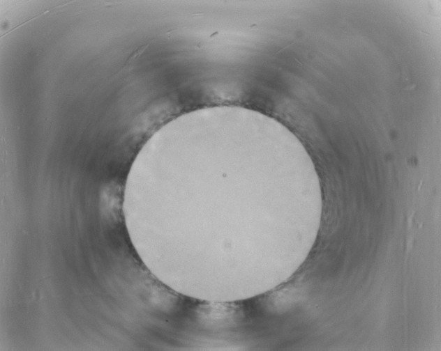 X0000088070672200706011515