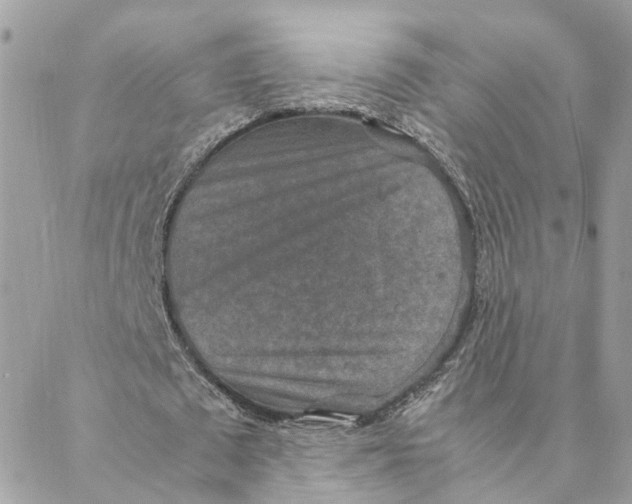 X0000088070673200706011514