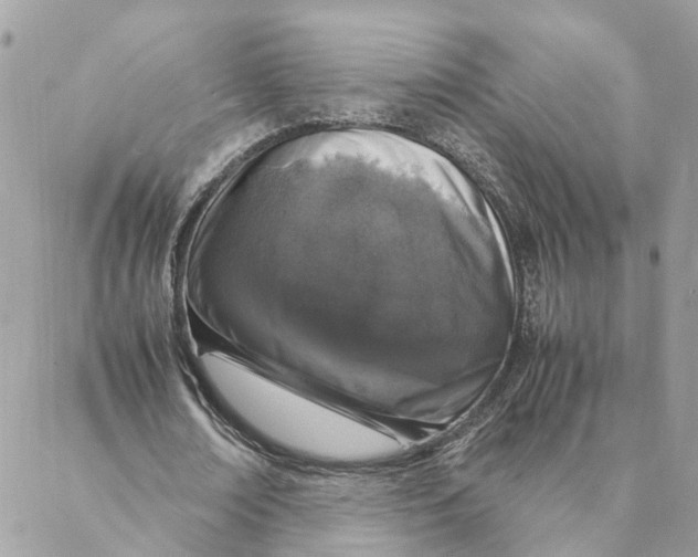 X0000088070674200706011514