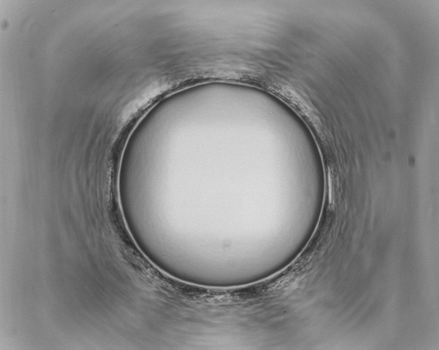 X0000088070675200706011514