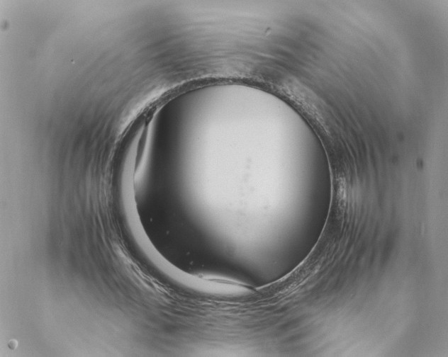 X0000088070676200706011514