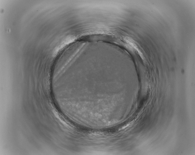 X0000088070677200706011514