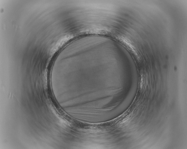 X0000088070678200706011514