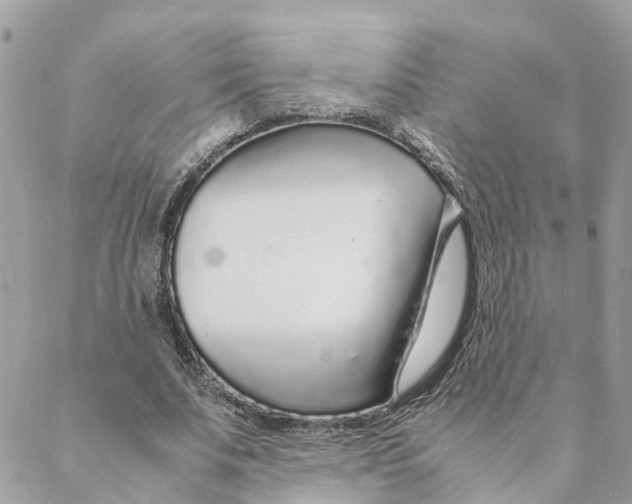 X0000088070679200706011514