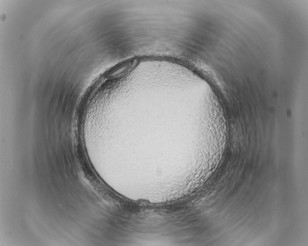 X0000088070680200706011514