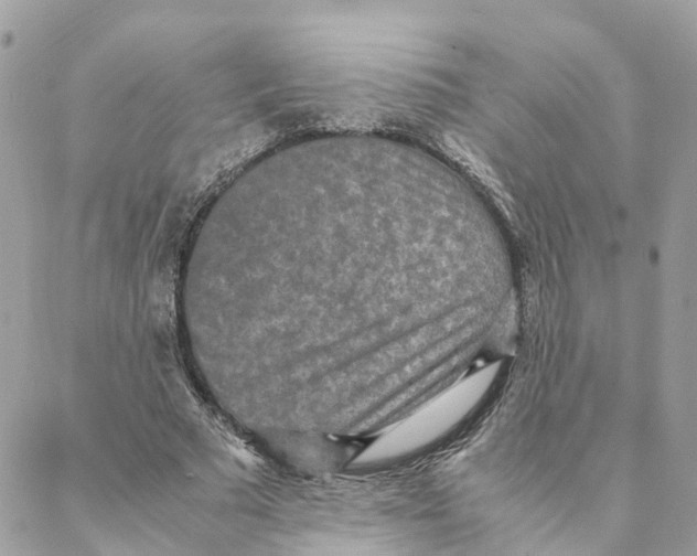 X0000088070681200706011514