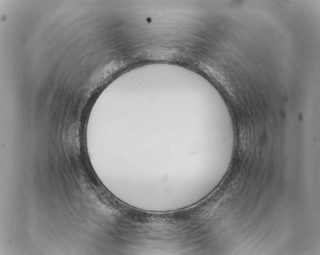 X0000088070682200706011514