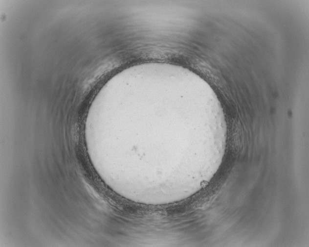 X0000088070683200706011514