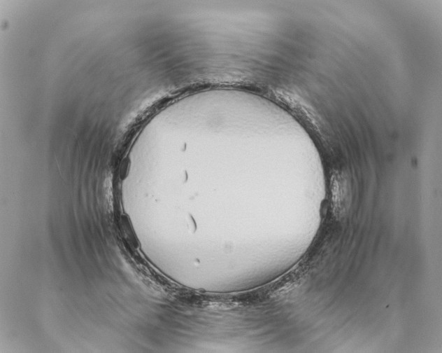 X0000088070684200706011514