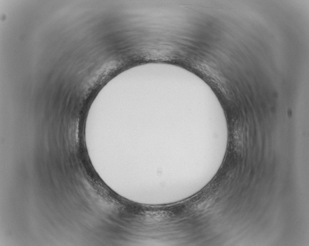 X0000088070686200706011514