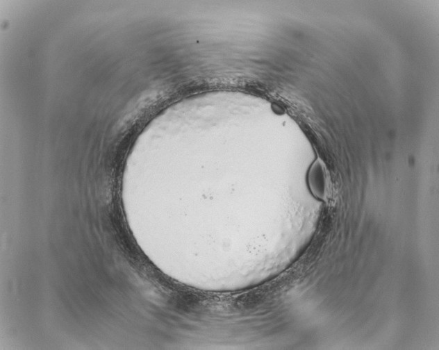 X0000088070687200706011514