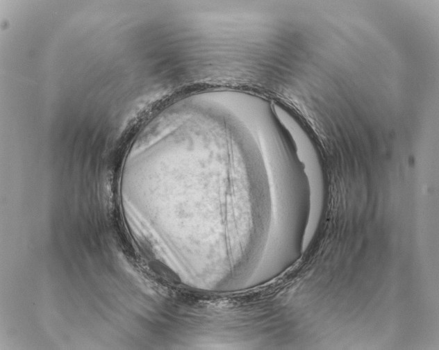 X0000088070688200706011514