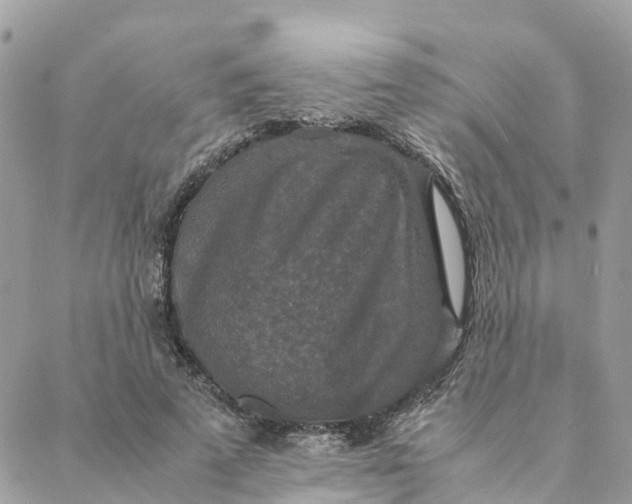 X0000088070689200706011514