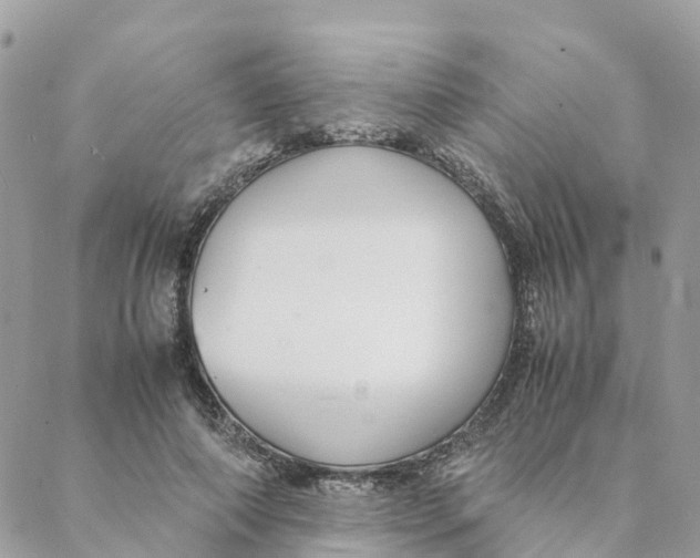 X0000088070690200706011514