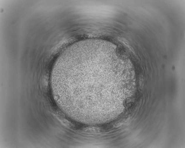 X0000088070691200706011514