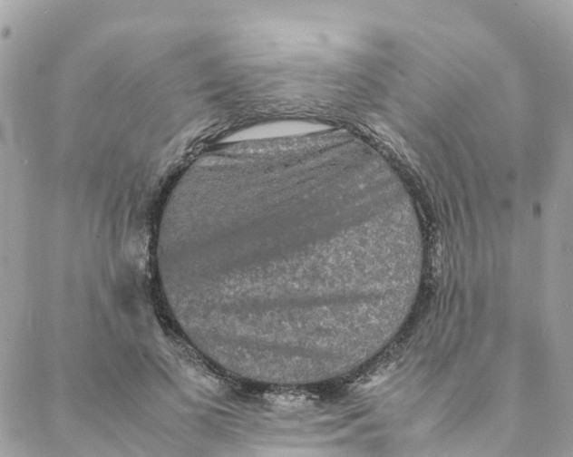 X0000088070693200706011514