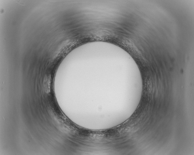 X0000088070694200706011514