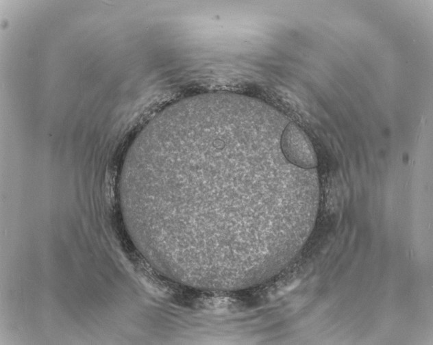 X0000088070695200706011514