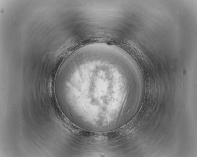 X0000088070696200706011514